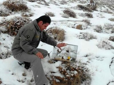 دستگیری صیاد غیر مجاز پرندگان زینتی در پارک ملی لار