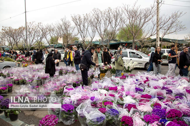 استقبال از نوروز 1405 در جنگ و امید