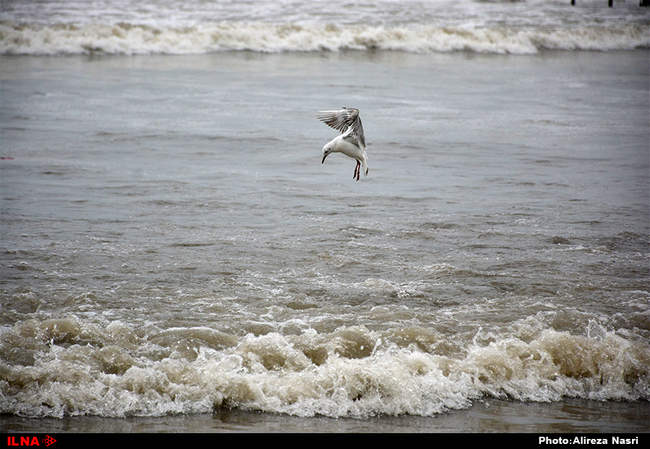 ایران زیبا/ متل قو