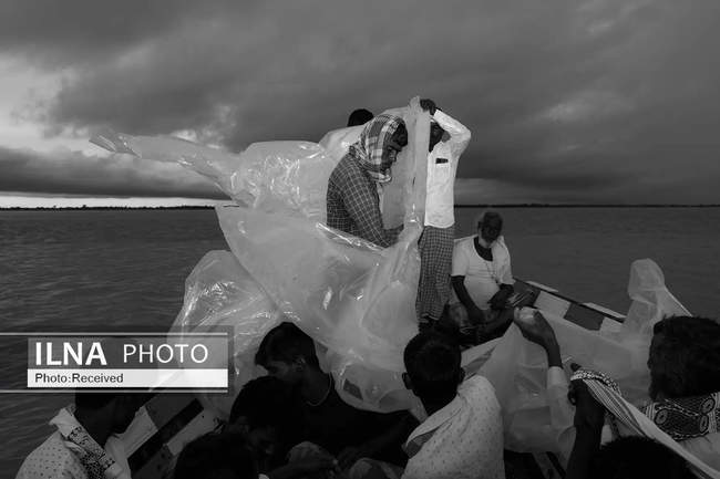 منتخبی از عکس‌های برتر ورلد پرس فوتو در سال ۲۰۲۴ 