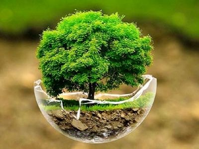 جانمایی 500 هکتار برای توسعه فضای سبز ویژه صنایع استان مرکزی با هدف کاهش آلوگی هوا / 12.5 تن در هکتار فرسایش خاک در استان مرکزی وجود دارد