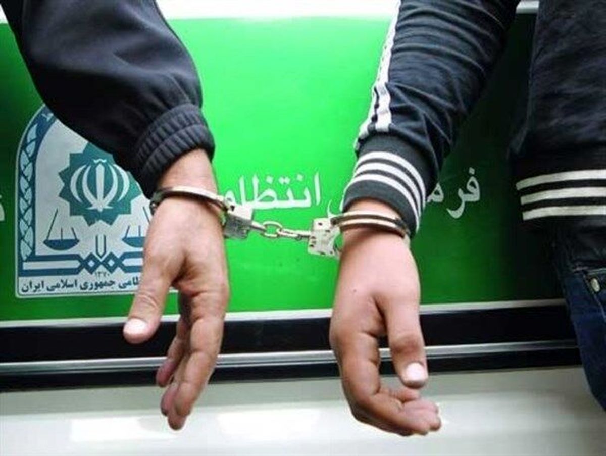 ۷۱ متهم به سرقت و خرده فروشی موادمخدر دستگیر شدند
