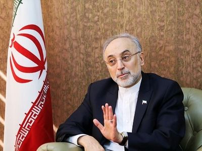 Iran’s Salehi to discuss nuclear deal at Oslo Forum