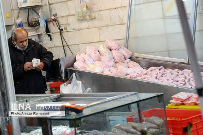 چه خبر از بازار مرغ؟!