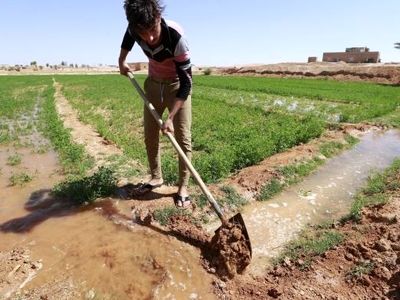 ادامه اعتراض کارگران فصلی نیشکر «میان آب» برای بازگشت به کار