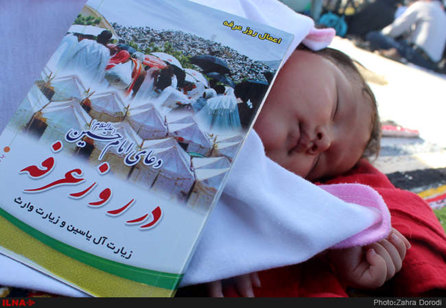 دعای عرفه در قم - حرم حضرت معصومه(س)