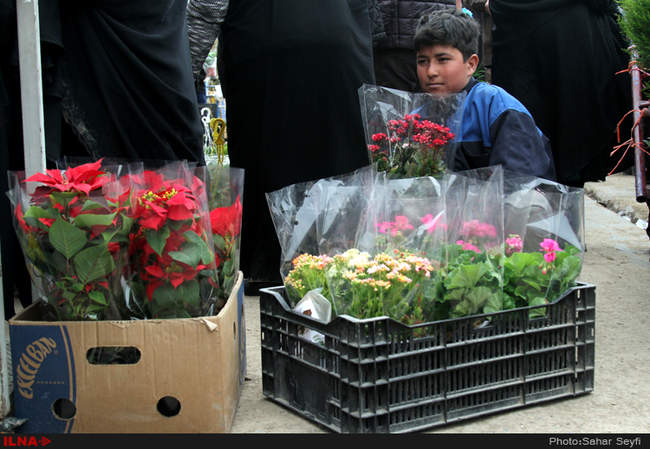 بازار گل و گیاه تهران در آستانه نوروز