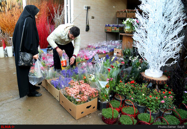 بازار گل و گیاه تهران در آستانه نوروز