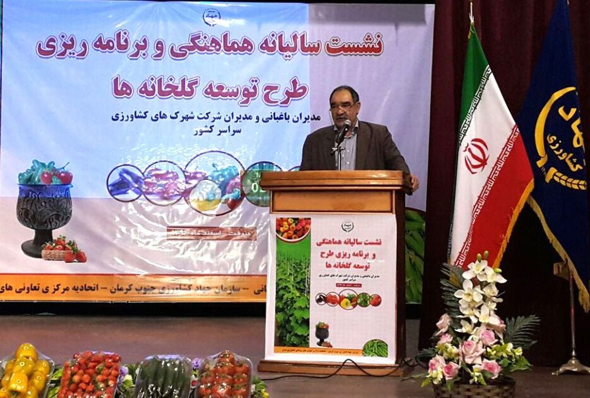 ضرورت تشکیل و تقویت زنجیره های ارزش واحدهای گلخانه ای/ ۲۵هزار اشتغال پایدار با احداث ۲۳۰۰ هکتار گلخانه ایجاد شد