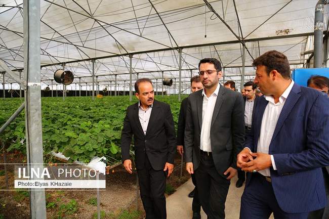 سفر یک روزه معاون وزیر کار  به استان قزوین