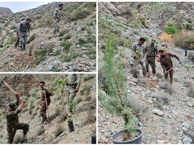 کاشت نهال در دماوند به یاد شهدای محیط‌بان کشور همزمان با «هفته زمین پاک»