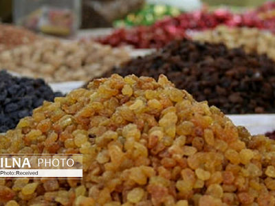 نارضایتی ۹۰  درصد باغداران از عملکرد صندوق کشمش تاکستان/ فعالیت غیرقانونی صندوق در دو سال گذشته