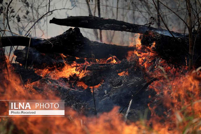 آتش سوزی در جنگل های آمازون