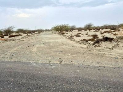 رنج اخراج کارگران بومی در روستایی در کنارک