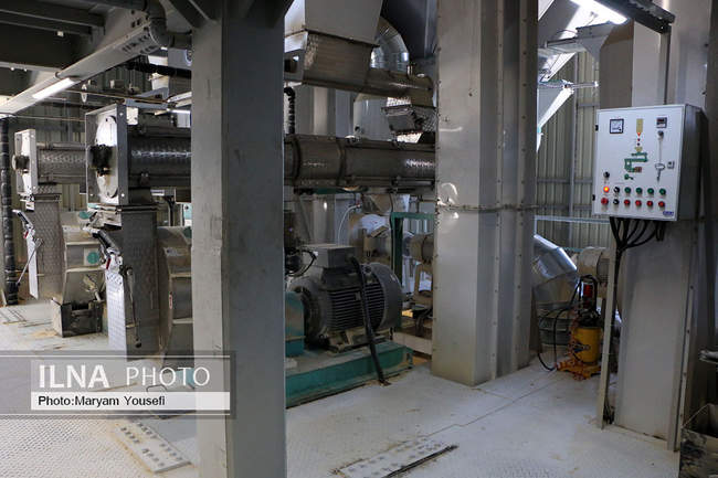 افتتاح همزمان پروژه های بخش کشاورزی استان به مناسبت هفته دولت