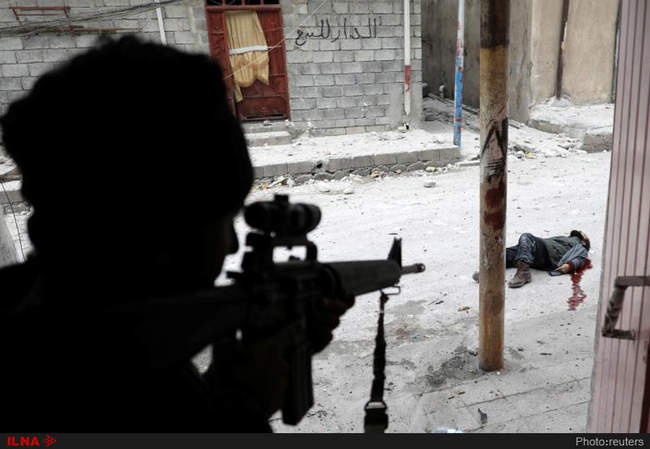 تصاویر برگزیده سال رویترز