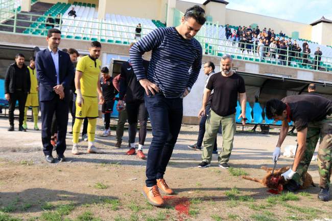 تصاویر/ مراسم معارفه علی نظرمحمدی سرمربی جدید رایکا بابل