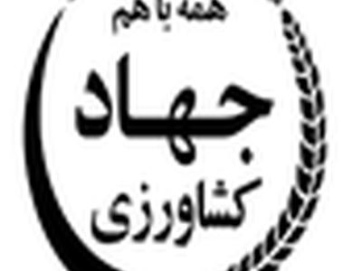 ۳۸۸۵ پروژه تولیدی و زیربنایی بخش کشاورزی به بهره برداری می رسد