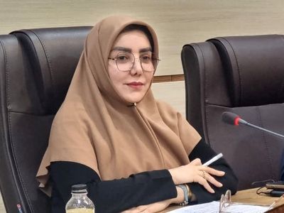 امکان استفاده از  قانون مالیات‌های مستقیم برای حمایت از بخش سلامت