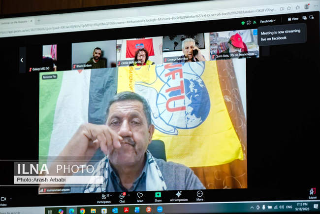 برگزاری سمینار مجازی موسسه بین المللی کارگران با حضور نماینده خانه ک