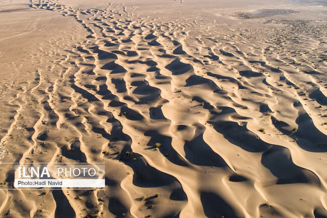 کویر مصر