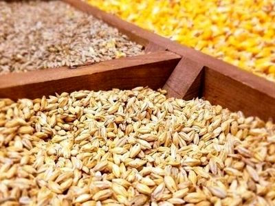 توزیع نهاده های کشاورزی در فصل جدید زراعی