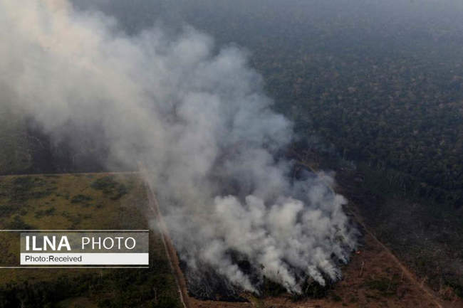آتش سوزی در جنگل های آمازون