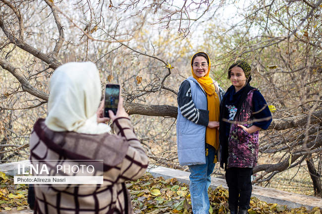 باغستان سنتی؛ میراث کهن مردم قزوین 