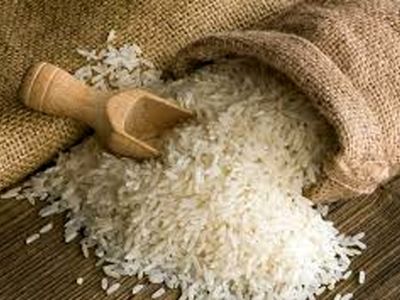 جهاد کشاورزی متولی امنیت غذایی است/تلاش ما این است که شرمنده مردم نشویم