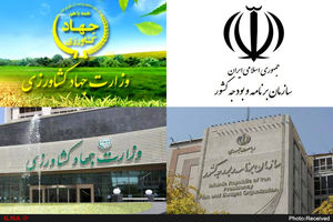 زندگی با حقوق ۲۴ میلیون تومانی وقتی خط فقر شهری ۷۰ میلیون تومان است/ رئیس جمهور به پرونده معیشت کارکنان وزارت کشاورزی ورود کند؛