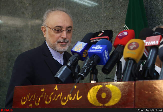 علی اکبر صالحی رئیس سازمان انرژی اتمی ایران