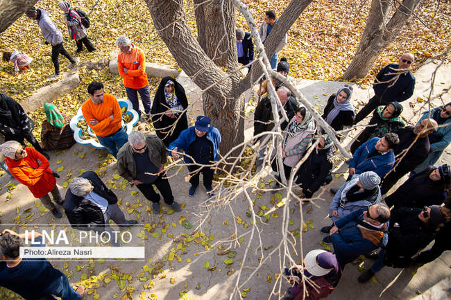 باغستان سنتی؛ میراث کهن مردم قزوین 