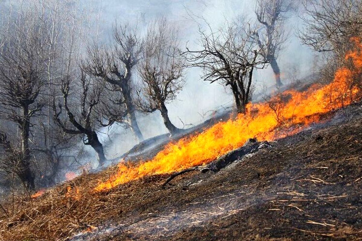 مهار آتش در عرصه‌های جنگلی مینودشت