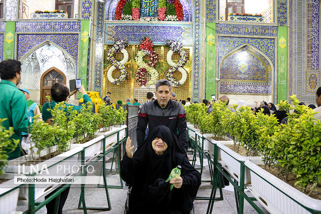 تعویض گل‌های ضریح حضرت امام رضا (ع)