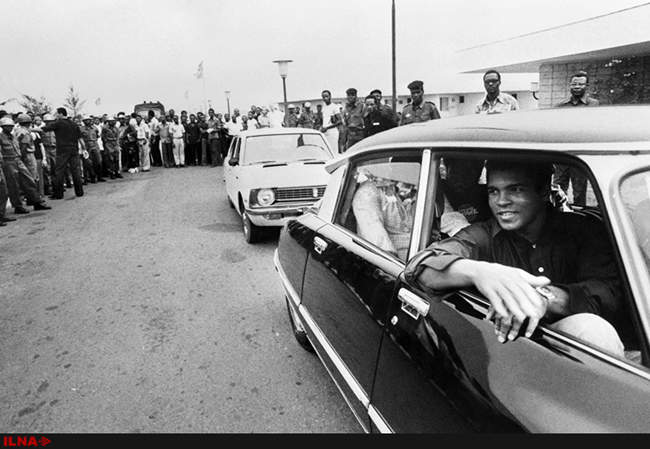 محمدعلی کلی درگذشت 