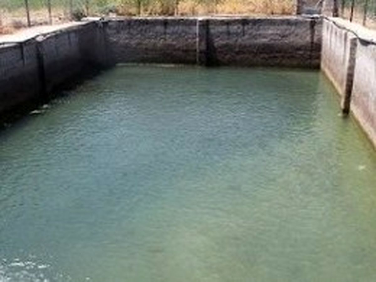 خطر غرق شدن و خفگی کودکان در استخرهای خانگی و بادی