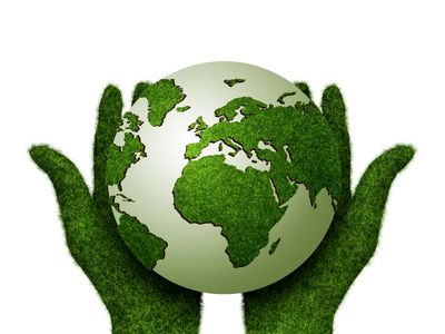 فراخوان محیط زیستی هلدینگ داتیس     