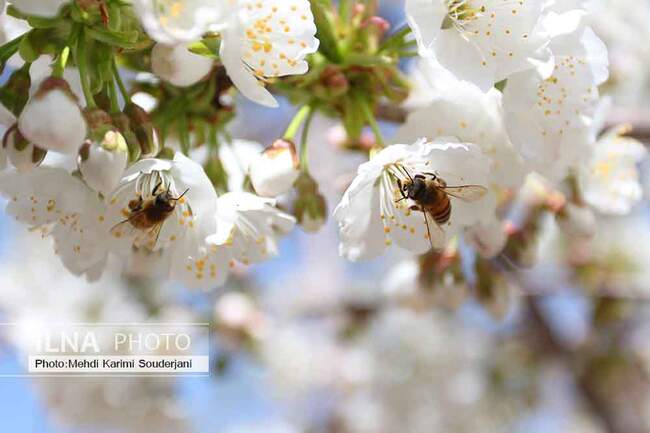 IMG_9819