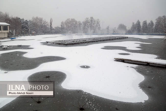 پارک ملت در یک روز برفی