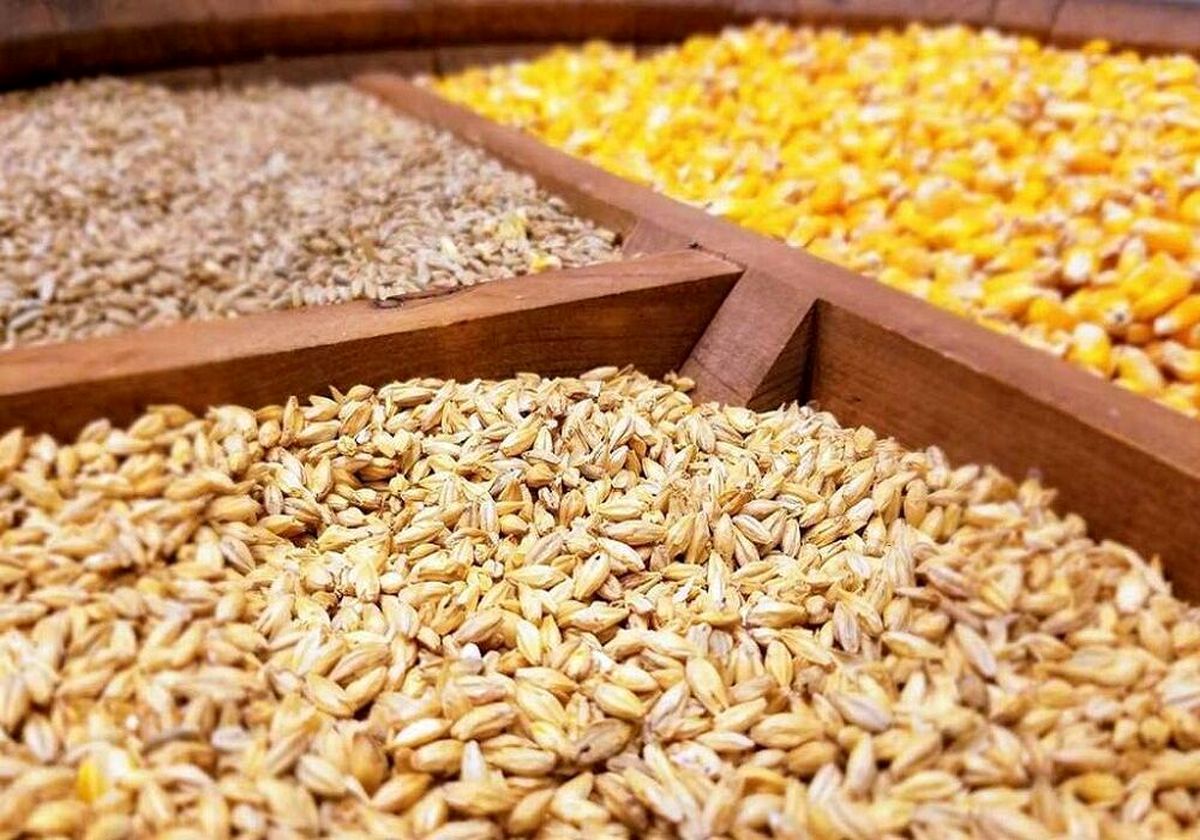 دومین سهمیه نهاده دامی ویژه خشکسالی در خراسان رضوی توزیع شد