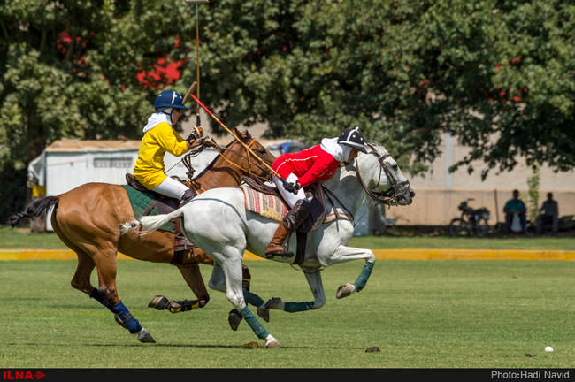دومین دوره رقابتهای چوگان بانوان «جام شیرین»
