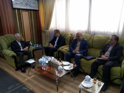 رایزنی برای فعال‌سازی کارگروه علمی و آموزشی شورای عالی ایرانیان
