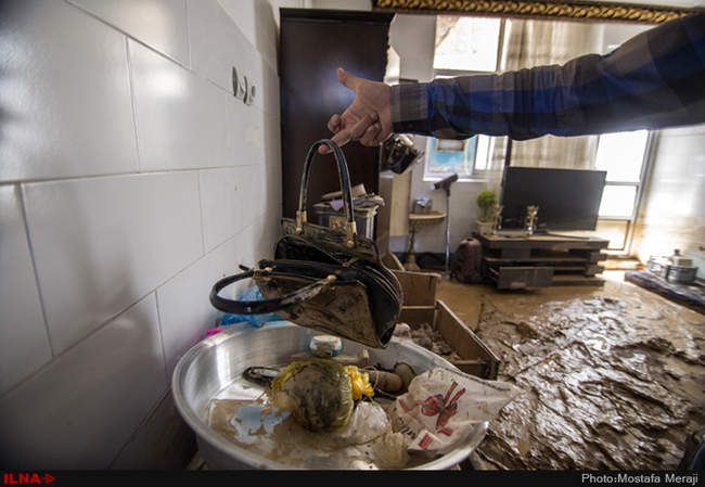 خانه به گل نشسته یک نوعروس؛ دستاورد دیگر شهرداری قم