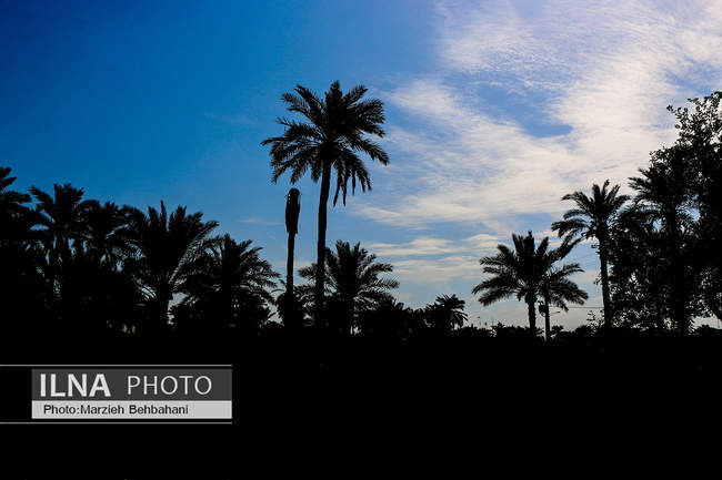آبادان؛ شهری که هنوز بوی نفت، صدای لنج و خاطره‌ی مقاومت می‌دهد