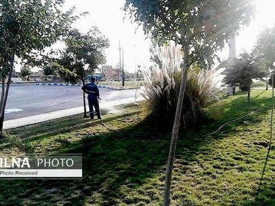 طلب مزدی ۵۰ کارگر فضای سبز شهرداری امیدیه از پیمانکار سابق