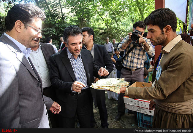 نخستین جشنواره برداشت توت فرنگی در روستای شیان-کردستان