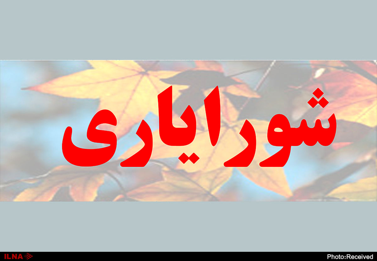 ممنوعیت ارتباط مالی شورایاران با شهرداری‌‌های مناطق/ مردم کارکرد مناسبی از شورایاری‌ها نمی‌بینند
