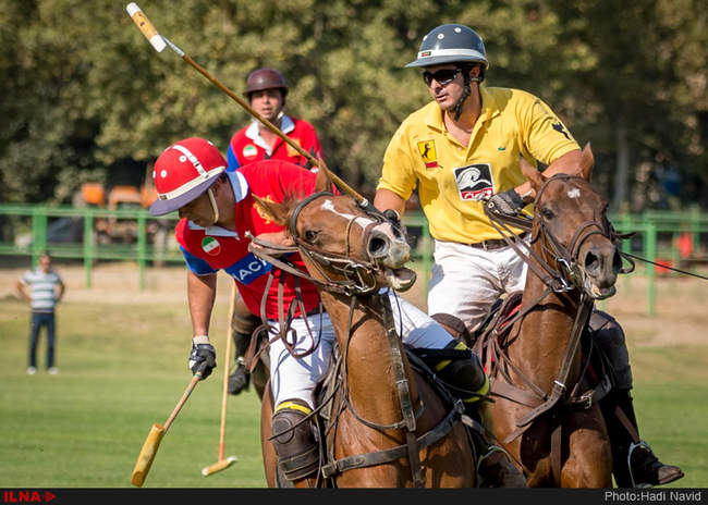 رقابتهای سه گانه چوگان هفته دولت ۱۳۹۵ - کانون چوگان/نوروزآباد