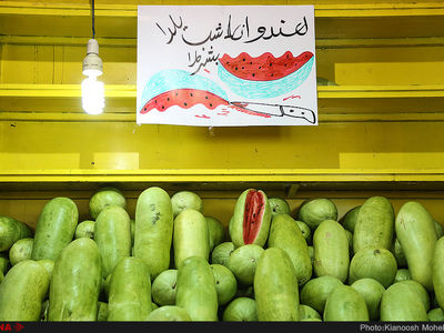 نگران فروش میوه شب یلدا هستیم/ تولید هندوانه یک و نیم برابر شد/ صادرات مرکبات افزایش می‌یابد