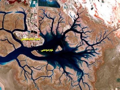 تحلیل اکولوژیک و اقتصادی خورهای خورموسی در خلیج فارس؛ ظرفیت‌ها، چالش‌ها و تهدیدها + تصاویر